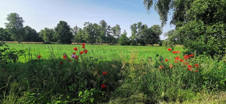 FDP Ortsverband Hatten
