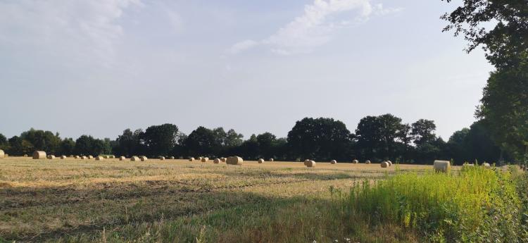 FDP Ortsverband Hatten