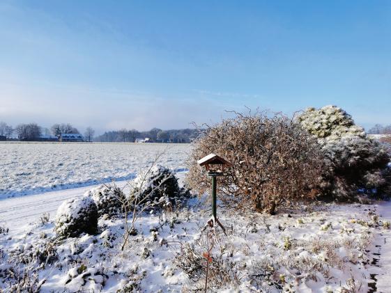 FDP Ortsverband Hatten