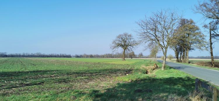 FDP Ortsverband Hatten